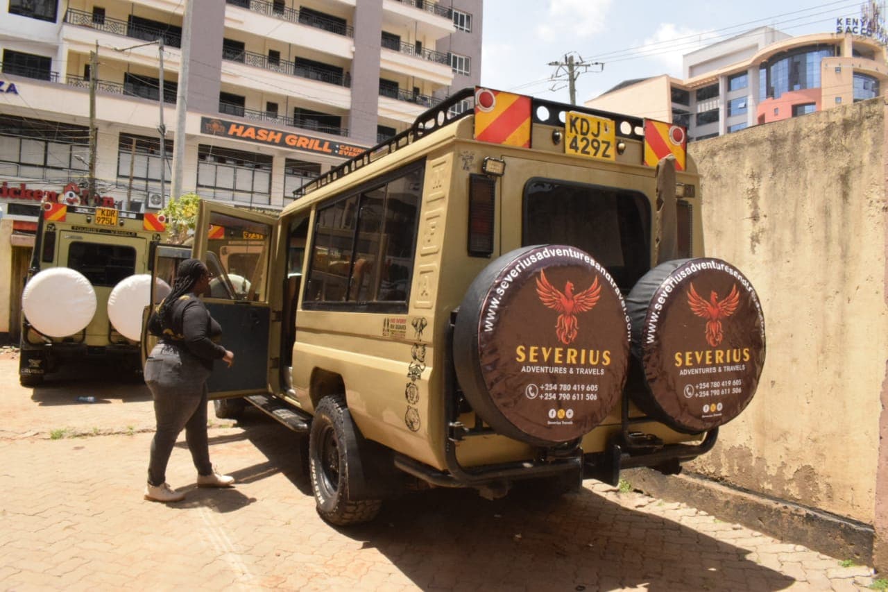 African Safari Adventure