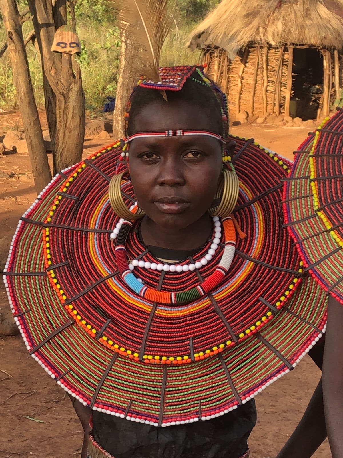 The Maasai Mara versus the Serengeti: Everything You Need to Know in 2026