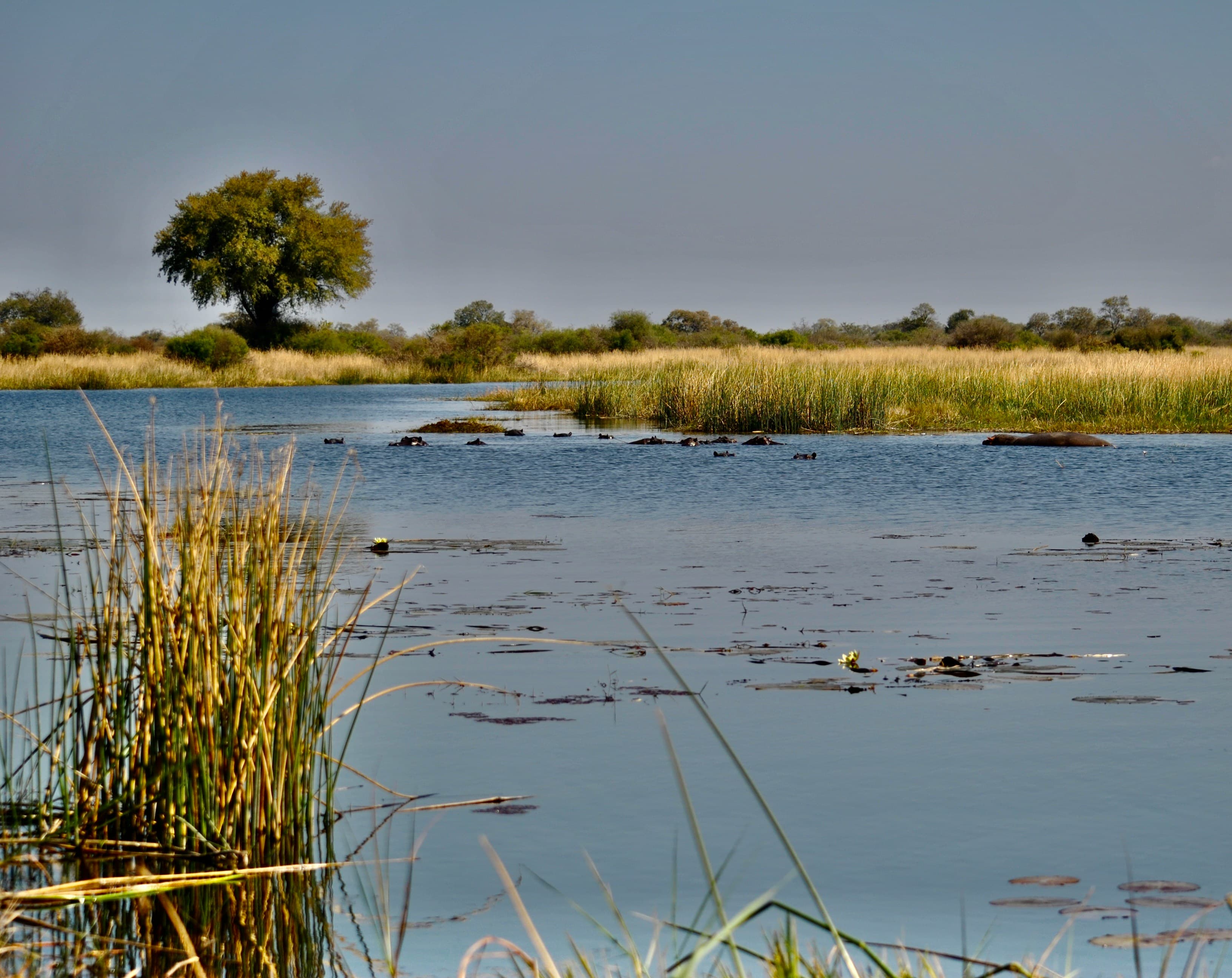 Okavango Delta Safari - 4 Days - Image 3