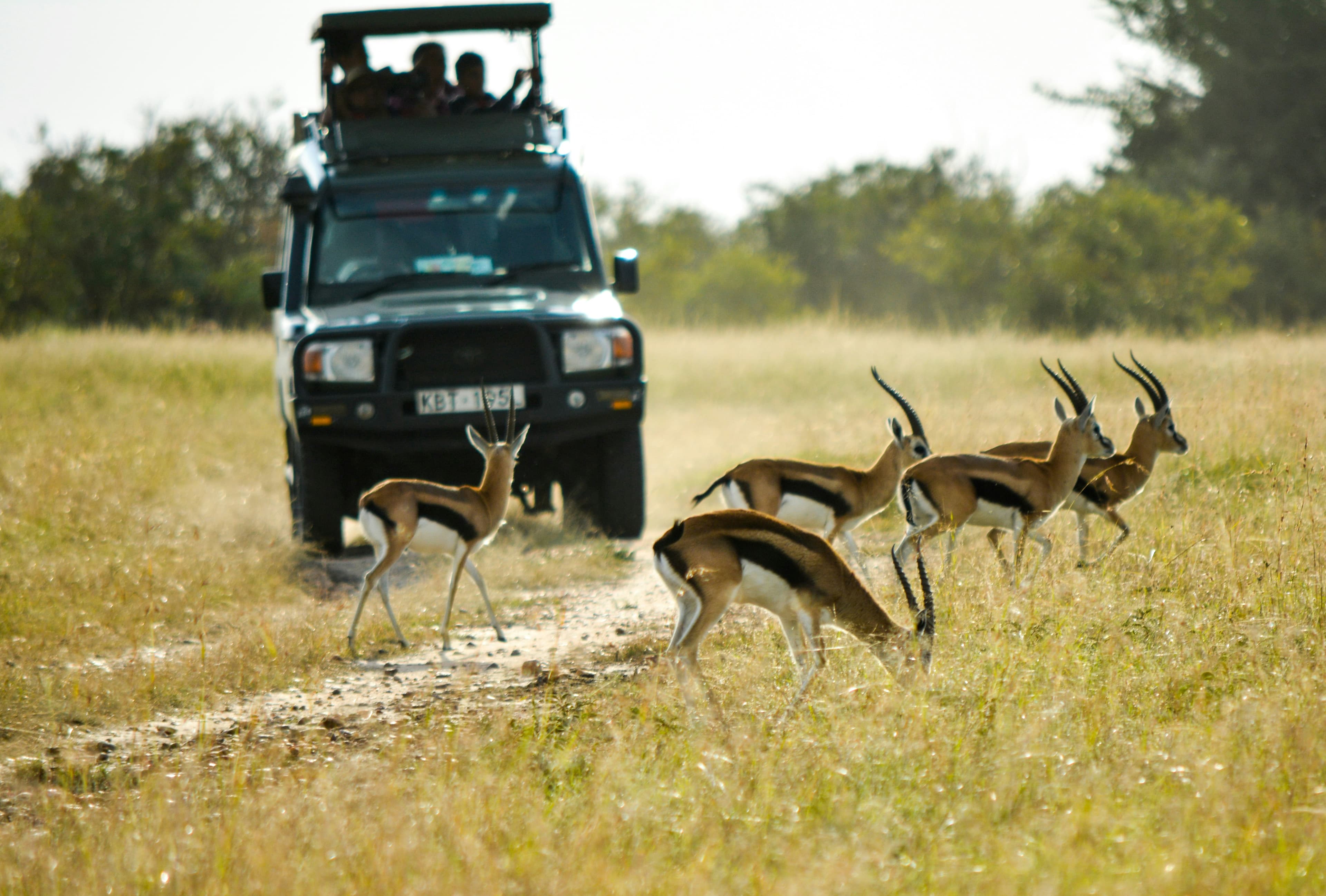 Classic Maasai Mara Safari - 5 Days