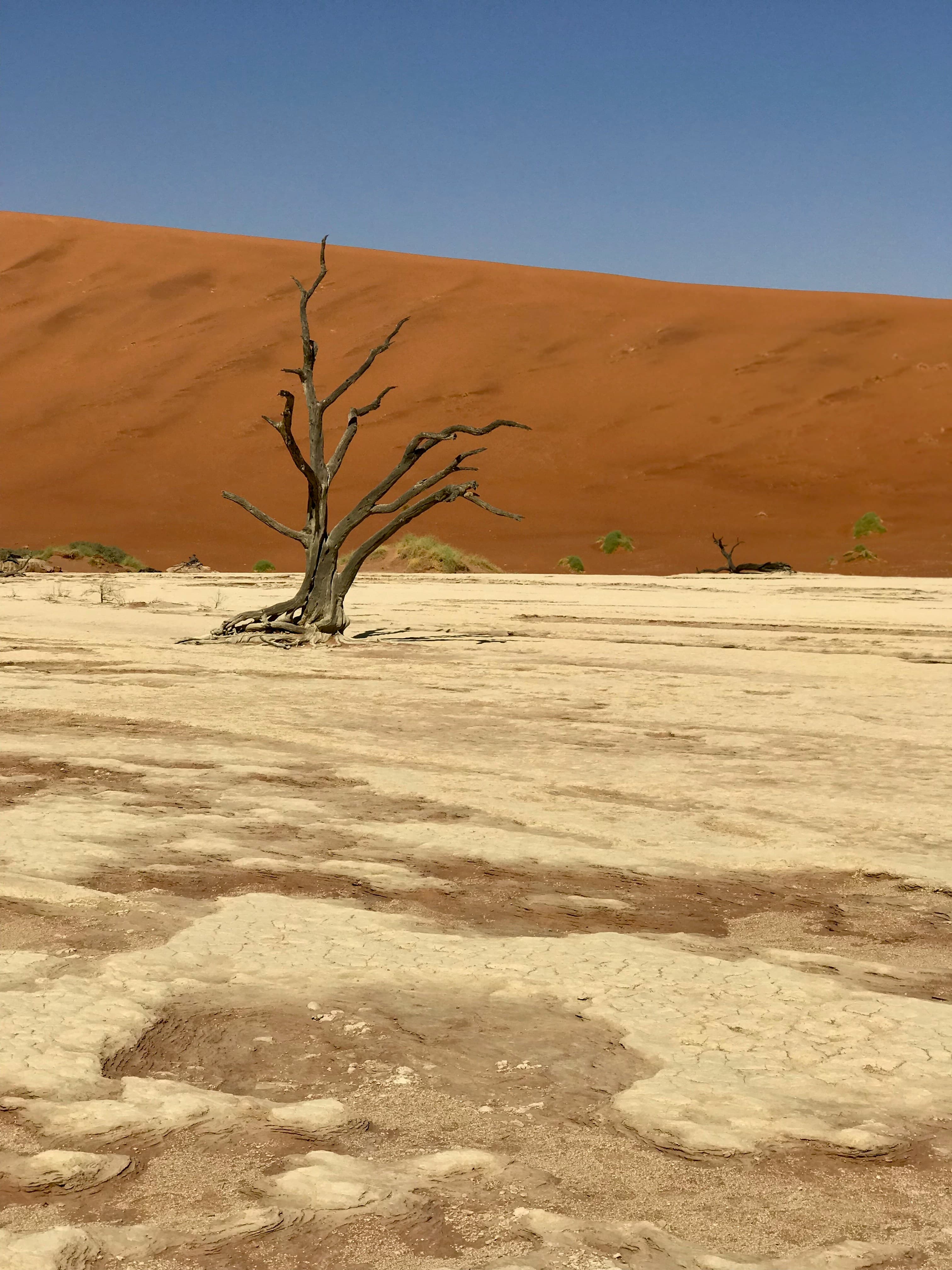 Sossusvlei & Dead Vlei Desert Adventure - 5 Days