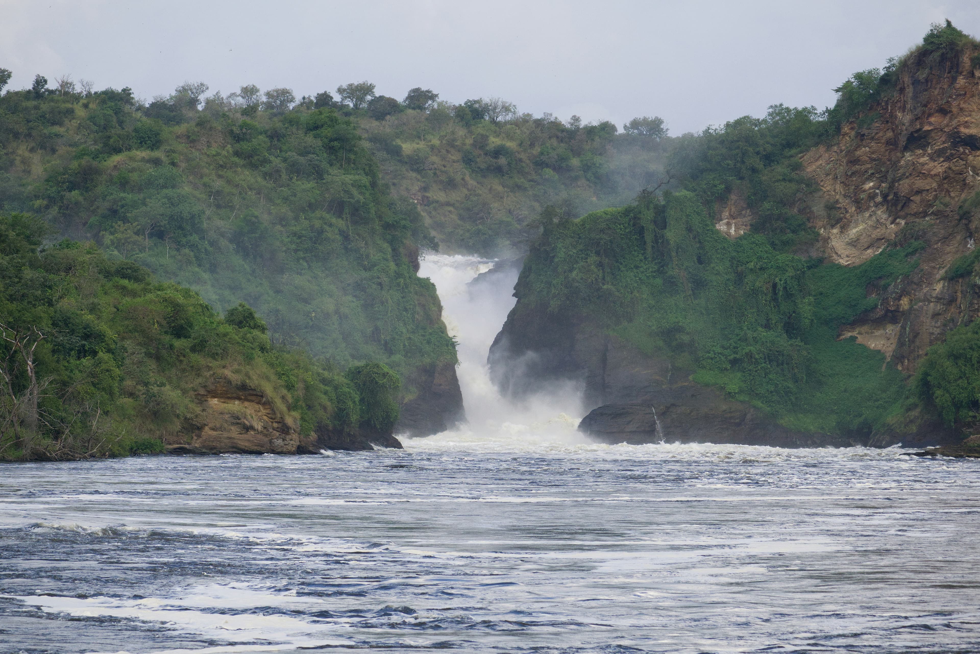 Murchison Falls Safari - 4 Days - Image 3