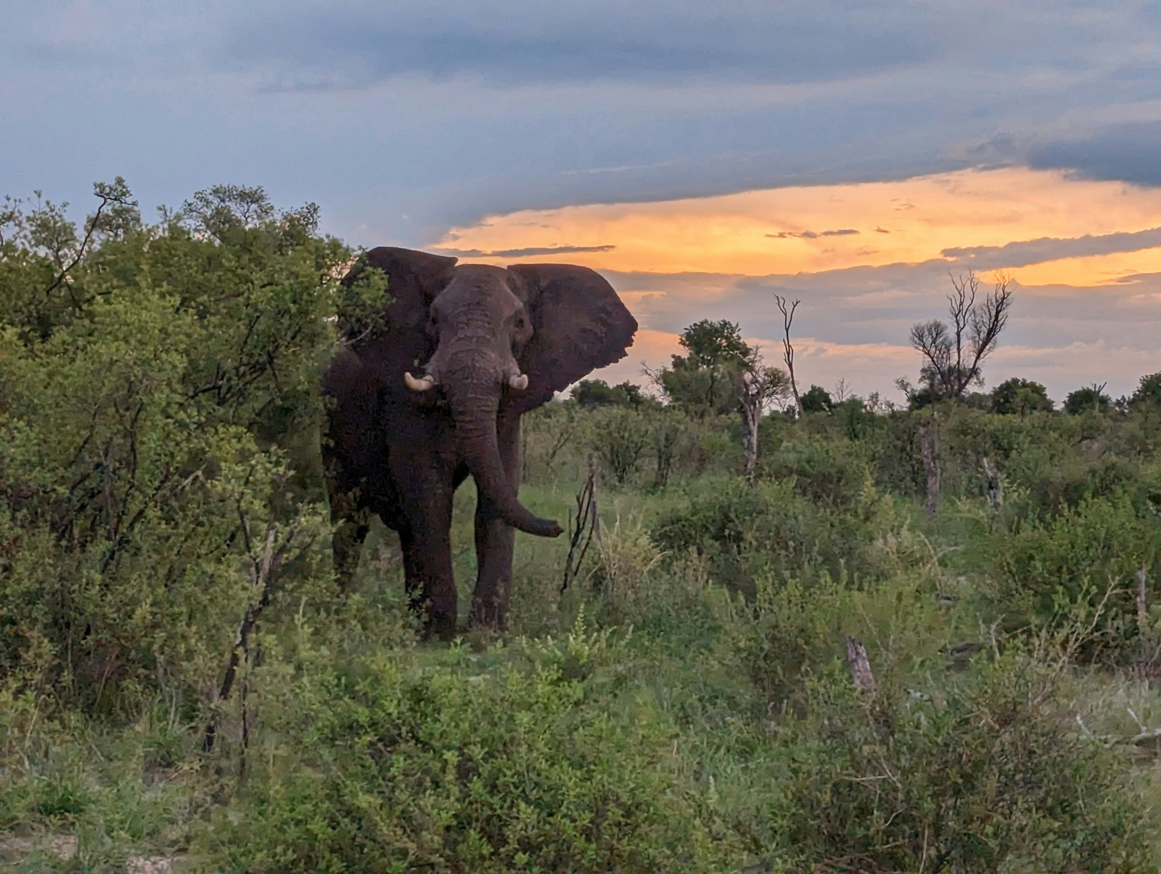 Hwange National Park Safari - 4 Days