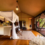 Elewana sand river luxury tents cater to every whim you have during your holiday. It encompasses nature and luxury for an unforgettable experience in the African wild.
